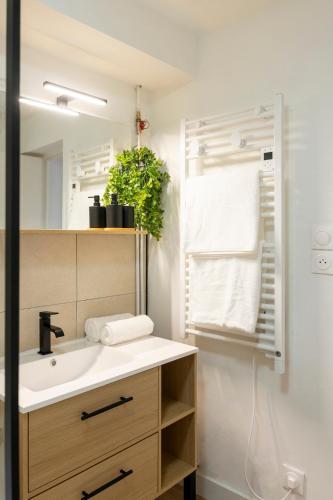 a bathroom with a sink and a mirror at Studio Saint-Patrice - centre historique Bayeux in Bayeux