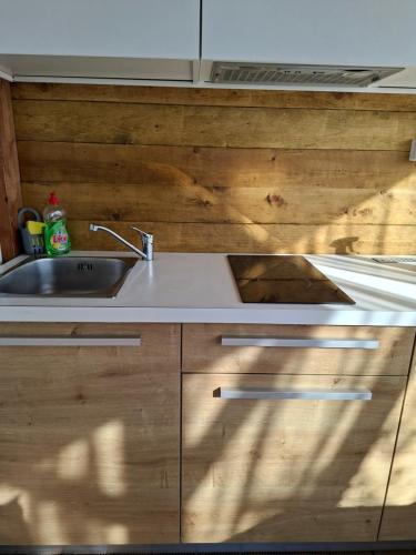 a kitchen with a sink and a wooden wall at Mobile home Magdalena in Pirovac