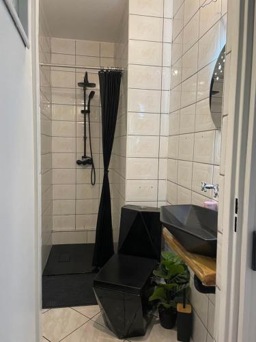 a bathroom with a shower with a sink and a shower at Leśny Dworek Marianny 4 osobowy in Miedzygorze
