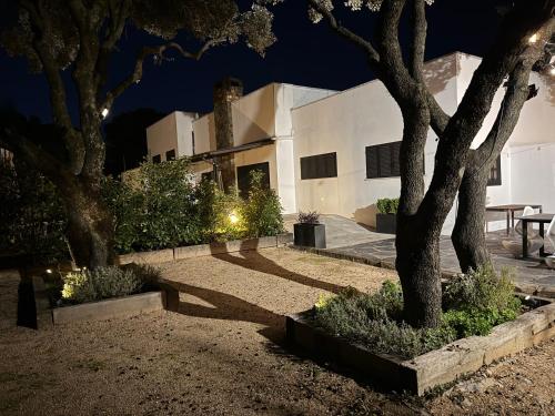 a building with a tree in a courtyard at night at Villa La Roca con casita independiente in Guadarrama