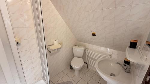 a small bathroom with a toilet and a sink at Motel Dareon in Náchod