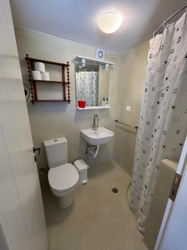 a small bathroom with a toilet and a sink at To Ampeli in Potamós