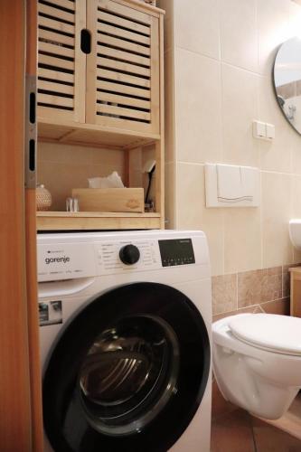 eine Waschmaschine in einem Badezimmer mit Toilette in der Unterkunft Altmarktstudio1 in Cottbus