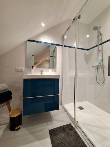 a bathroom with a shower and a blue sink at Le Garage & Spa Silver in Gondreville