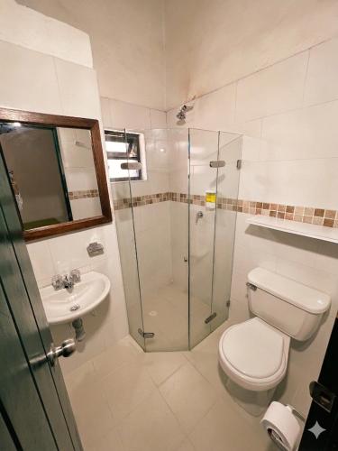 a bathroom with a shower and a toilet and a sink at Hotel Bera-k in Villa de Leyva