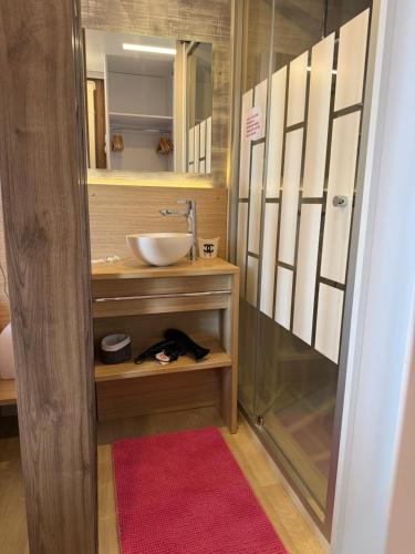 ein Badezimmer mit Waschbecken und Spiegel in der Unterkunft Ethan in Saint-Raphaël