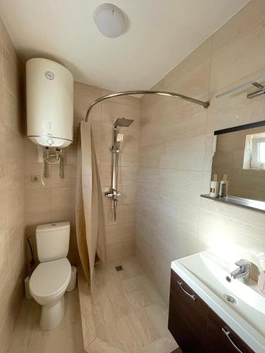a bathroom with a toilet and a sink at Vivat in Berehove