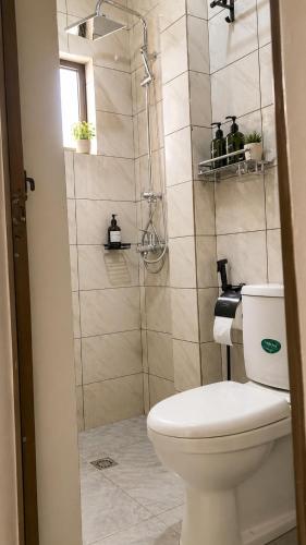 a bathroom with a toilet and a shower at Skyline Residence Apartment in Douala in Douala