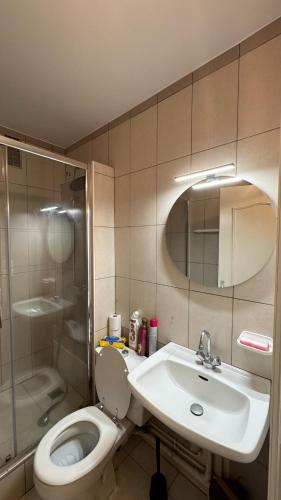 a bathroom with a toilet and a sink and a shower at Bagnole de l'Orne Studio in Bagnoles de l'Orne