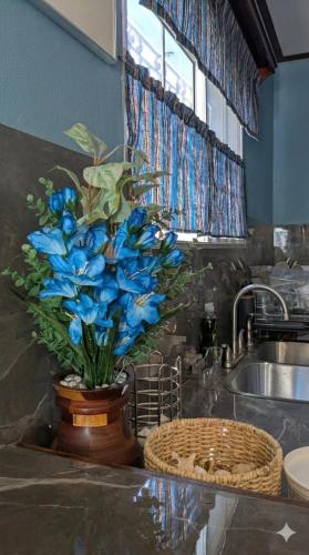 a vase with blue flowers on a counter in a kitchen at Casa Maruka in San Ignacio