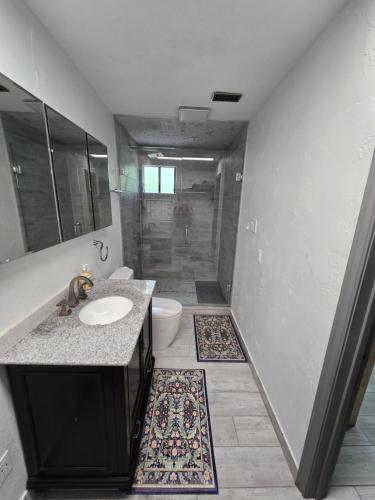 a bathroom with a sink and a toilet and a shower at Urban Treehouse in Dallas