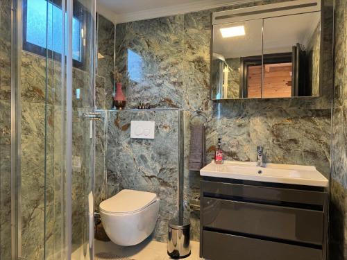a bathroom with a toilet and a sink at Seyregah Dağ Evi in Ardeşen