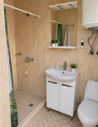 a bathroom with a sink and a shower and a toilet at Зелений двір in Vapnyarka