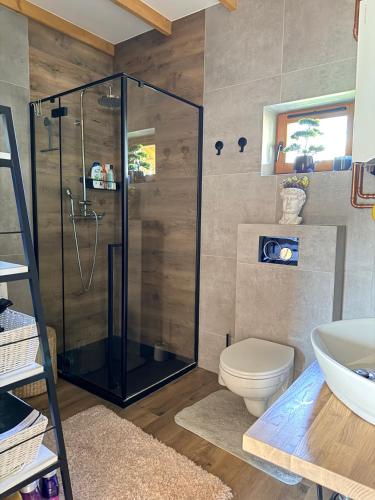 a bathroom with a shower and a toilet and a sink at Nadbużańska Ostoja in Kamieńczyk