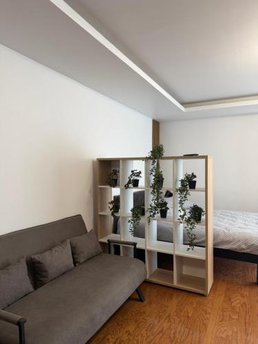 a living room with a couch and a shelf with plants at Cozy Corner Apartments in Bistriţa
