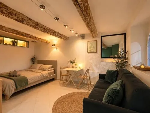 Studio Provencal de Charme Viel Antibes Centre photo 1