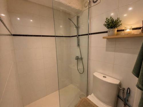 Studio Provencal de Charme Viel Antibes Centre photo 9