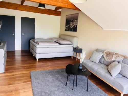 a living room with a couch and a table at Ferienwohnung Weitblick in Guxhagen
