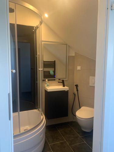 Bany a Helles Dachzimmer