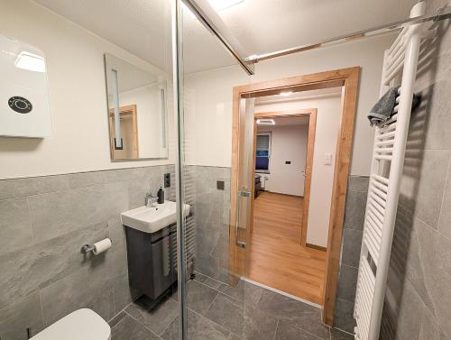 a bathroom with a sink and a toilet and a mirror at Ferienwohnung MoselVino in Lieser