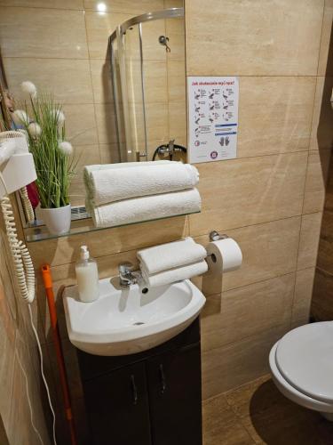 a bathroom with a sink and a toilet at U Efci in Kościelisko