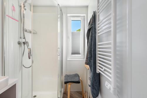 a bathroom with a shower and a toilet and a window at Haus Lotte und Frieda in Riedenburg