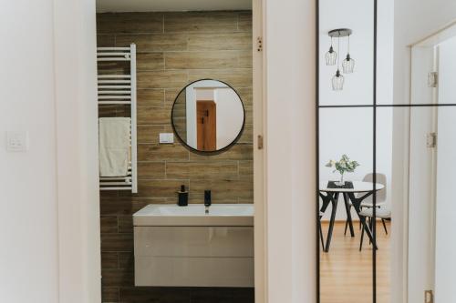 a bathroom with a sink and a mirror at Stan Brana in Ruma