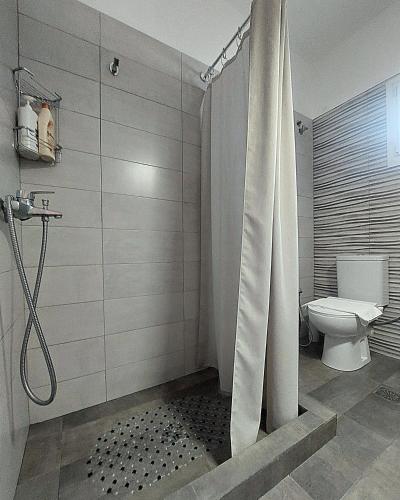 a bathroom with a shower with a toilet and a shower curtain at Mentis Home in Artemida