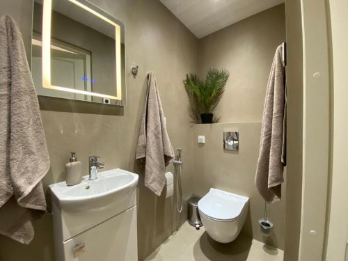 a bathroom with a sink and a toilet and a mirror at Hoovimaja in Pärnu