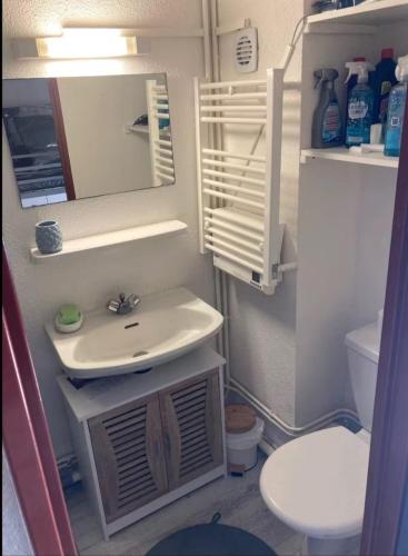a small bathroom with a sink and a toilet at Le Cocon Bleu in Ustou