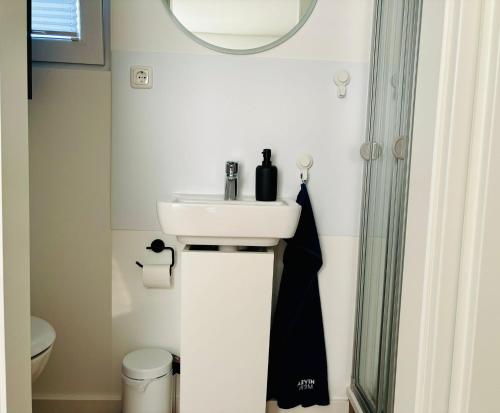 a bathroom with a sink and a mirror at Tiny House Boddenblick in Groß Kordshagen