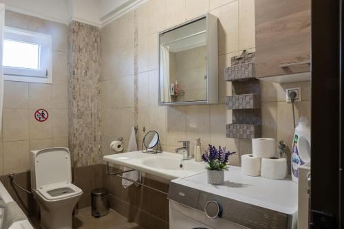 a bathroom with a sink and a toilet and a mirror at Lanari Valley House 2 in Thermi