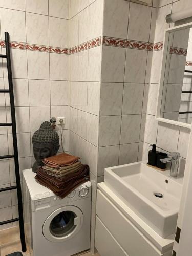 a bathroom with a washing machine and a sink at Innside - Terrace and Mountain Views in Innsbruck