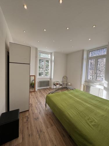 a bedroom with a large green bed and two windows at Apartment in Historic Villa in Faido