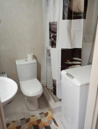 Cozy Single Studio Apartment - 22