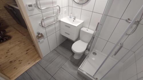 a bathroom with a toilet and a sink and a shower at Domek Pod Sosnami in Kuźnica Nowa