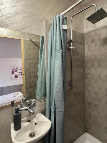 a bathroom with a sink and a shower at Vila Ispirescu INN in Cluj-Napoca