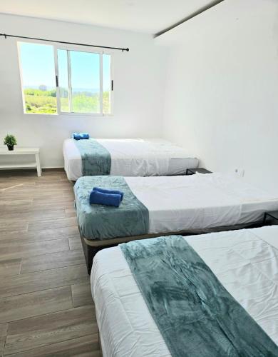 a room with four beds and a window at Villa Los Naranjos in Carcaixent