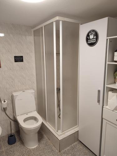 a bathroom with a white toilet and a shower at Casa da Castanha Sernancelhe in Sernancelhe