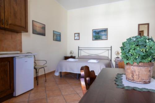 a kitchen with a table with a potted plant on it at Case Vacanze Albamarina in Lipari