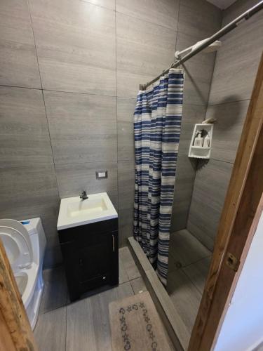 a bathroom with a sink and a toilet and a shower at Harvestmoon Boutique Hotel in Las Piedras
