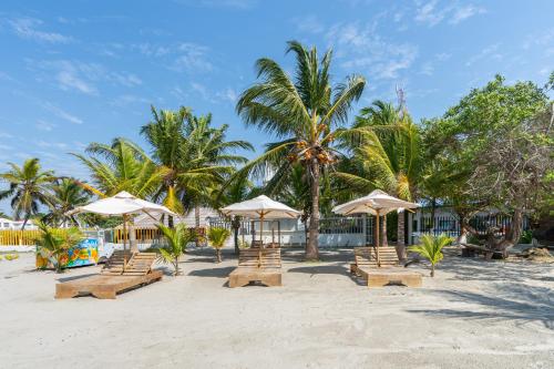 a beach with chairs and umbrellas and palm trees at Blue Apartahotel Coveñas in Coveñas