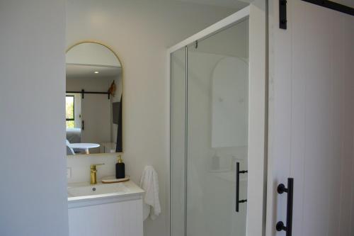 a bathroom with a shower and a sink and a mirror at Tūhua View Retreat in Waihi Beach