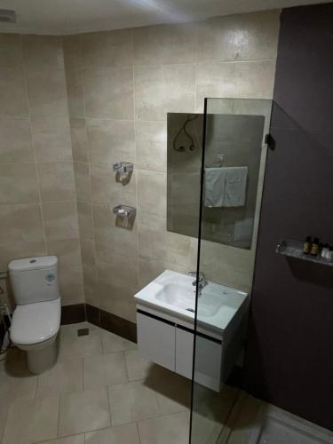 a bathroom with a toilet and a sink and a shower at Atlas Safari in Meknès