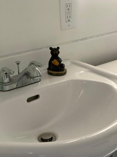 a black bear toy sitting on top of a bathroom sink at Hidden Getaway in Pembroke