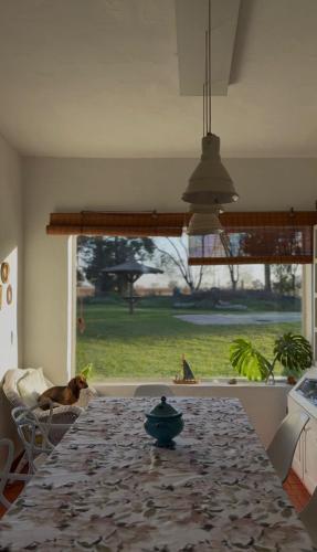 a kitchen table with a cat sitting on a chair next to a window at Casa de Barro in Junín