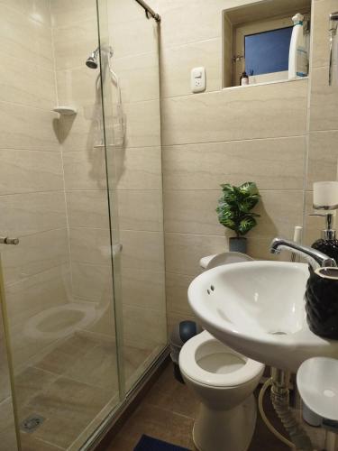 a bathroom with a shower and a toilet and a sink at Maxi&Mia Cabañas in Coveñitas