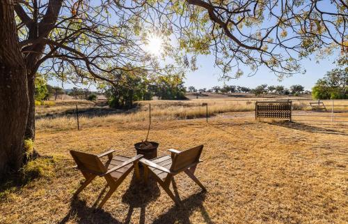 a park bench sitting under a tree in a field at Auburn Vale Cottage by Tiny Away in Quirindi