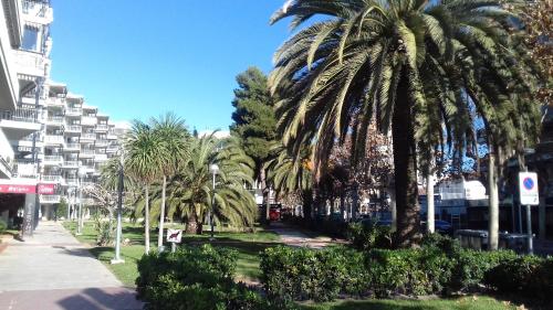 a row of palm trees in a city street at Apartamento Delfos in Salou