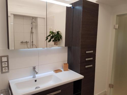 La salle de bains est pourvue d'un lavabo et d'un miroir. dans l'établissement Business Apartment Briller Viertel, à Wuppertal